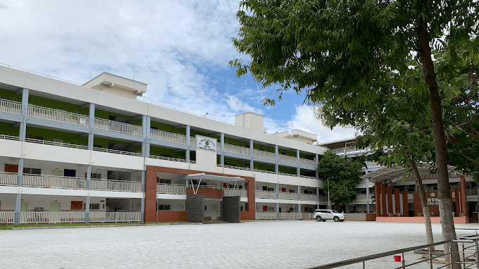 Chrysailis High