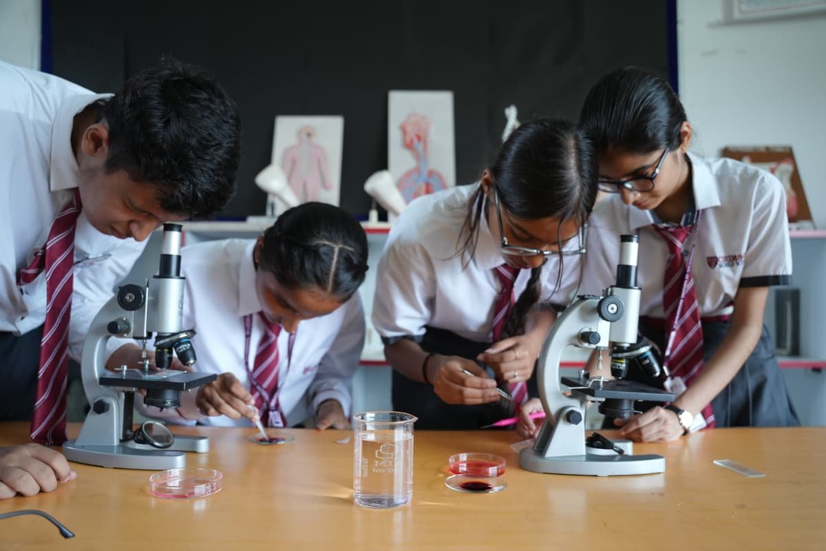 Crimson World School