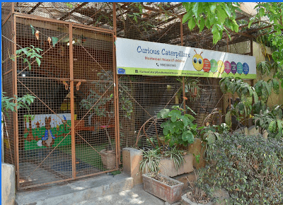 Curious Caterpillars Montessori House