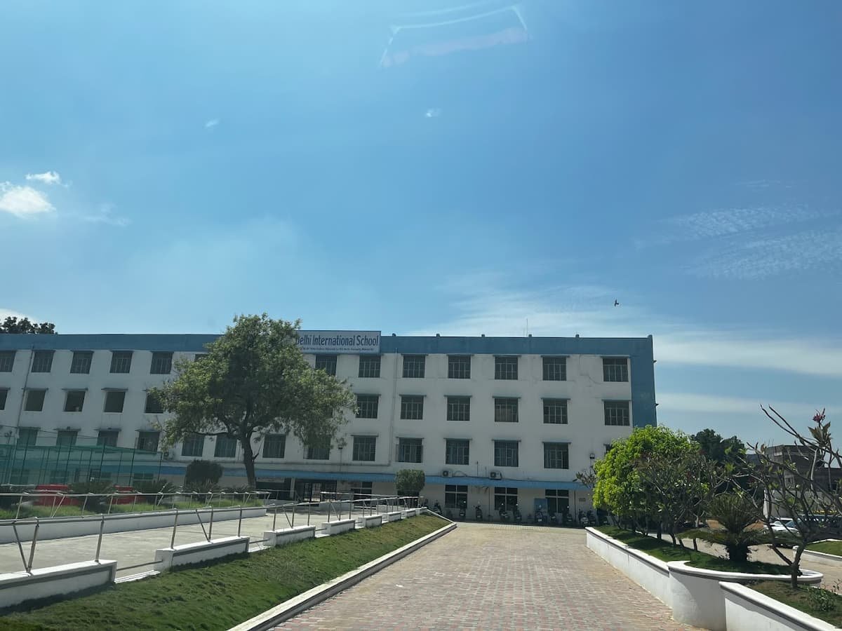 Delhi International School