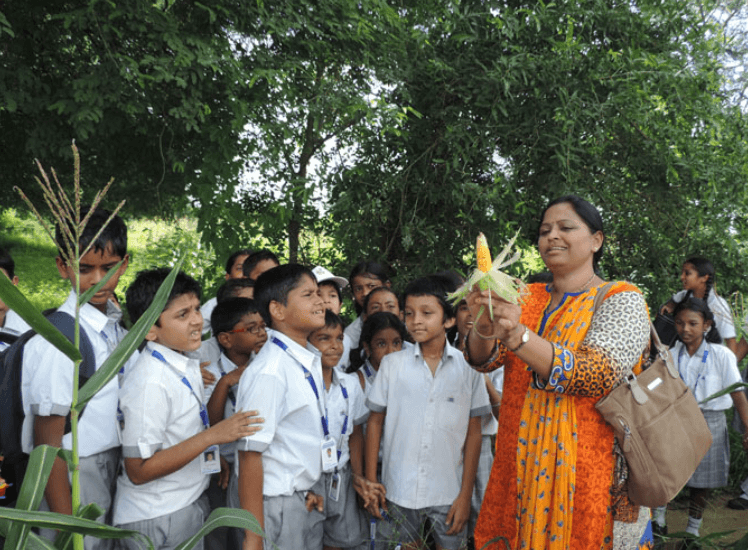 Delhi School Of Excellence