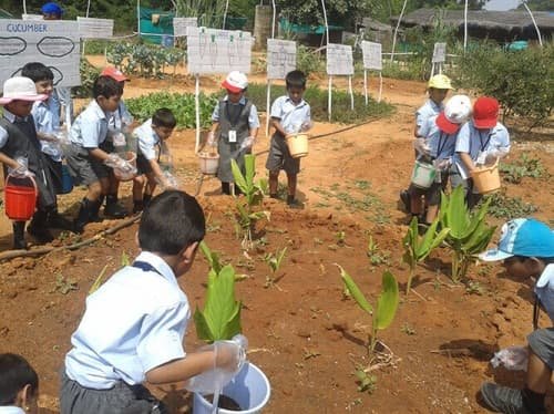 Ganges Valley School