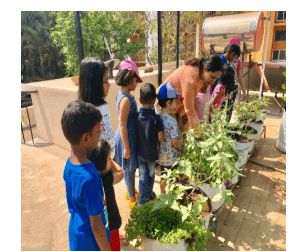 Gokulam Montessori and Creche