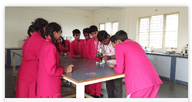 Harward International School