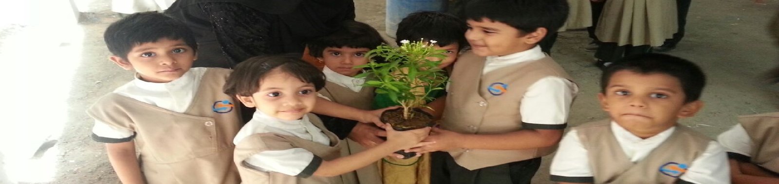 Insight International School