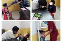 Insignis Transnational School