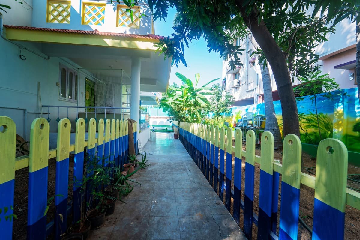 JP Birds Preschool