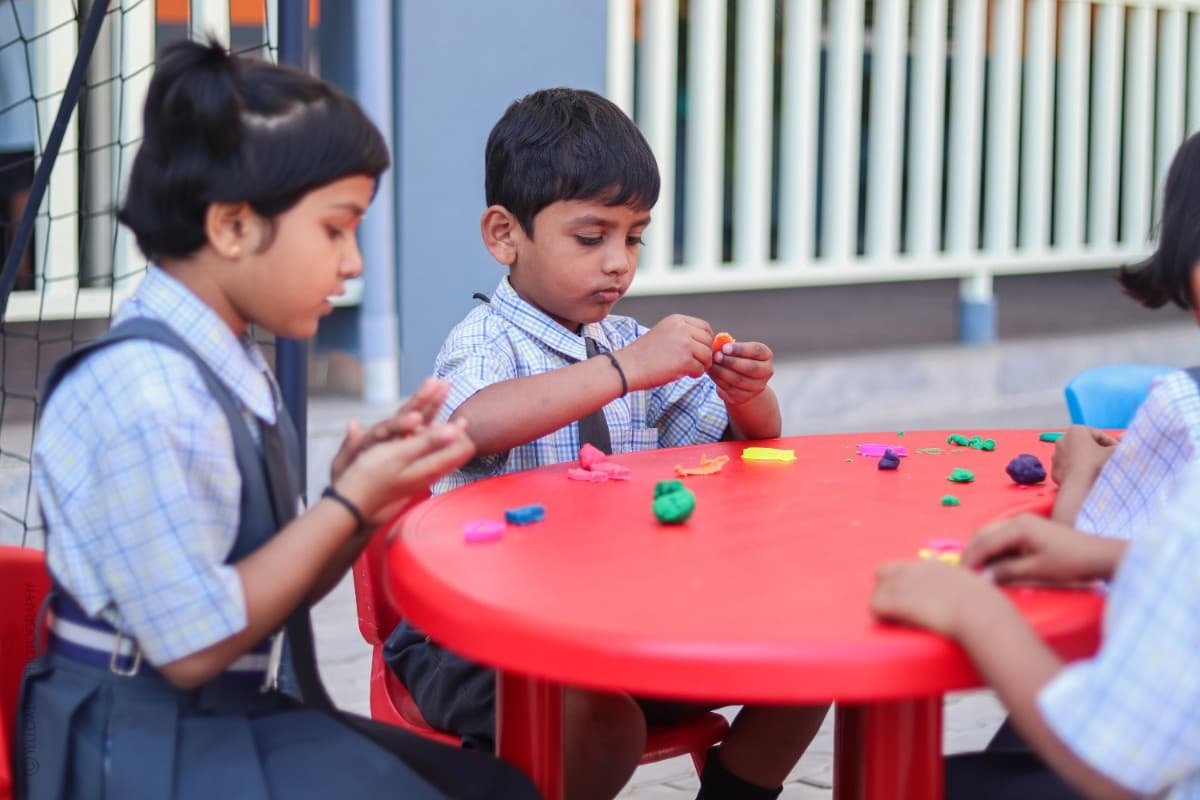 Kesar The International School