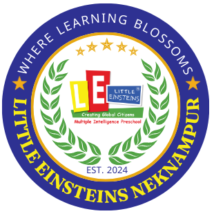 Little Einsteins Neknampur An International Preschool and Daycare Center