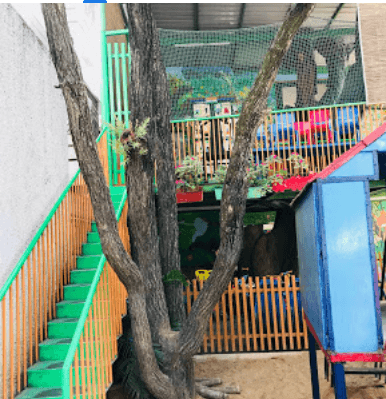 MARIAN PRIMARY &amp; MIDDLE SCHOOL