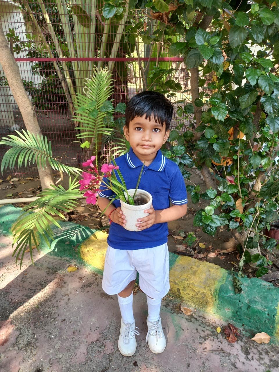 MBS International School, Greater Noida