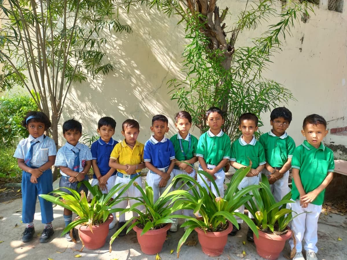 MBS International School, Greater Noida