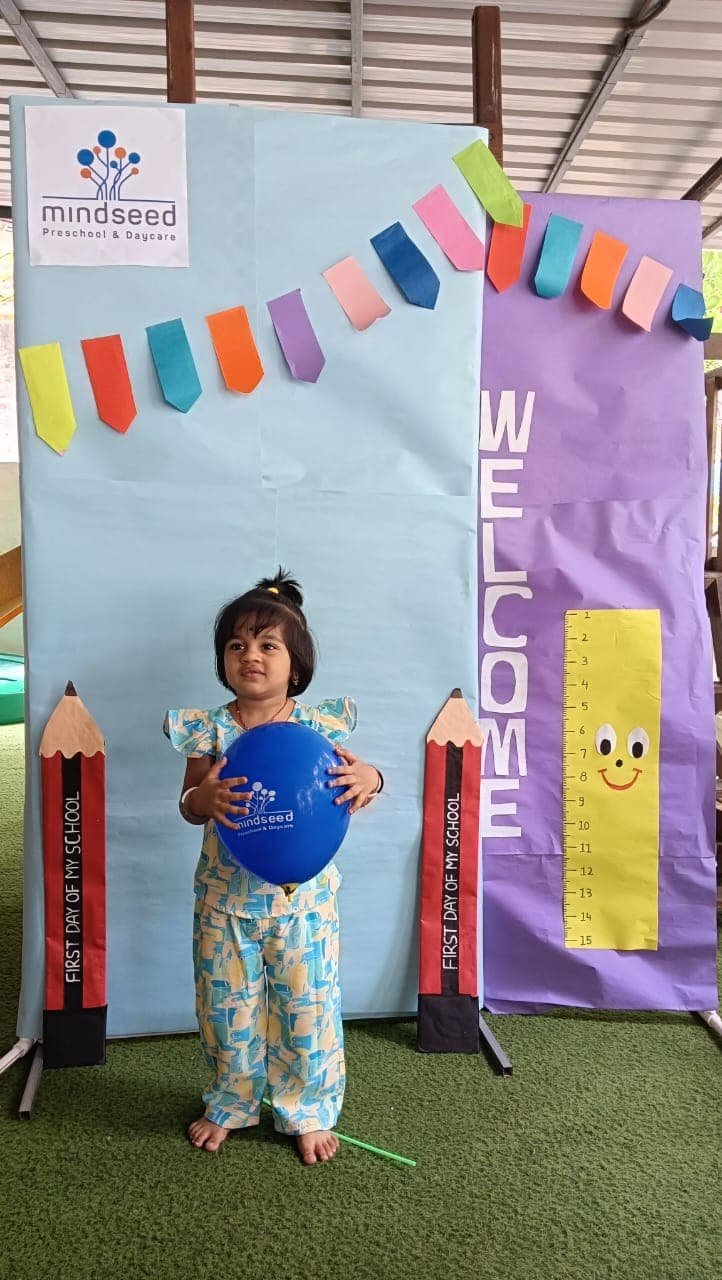 Mindseed Preschool & Daycare