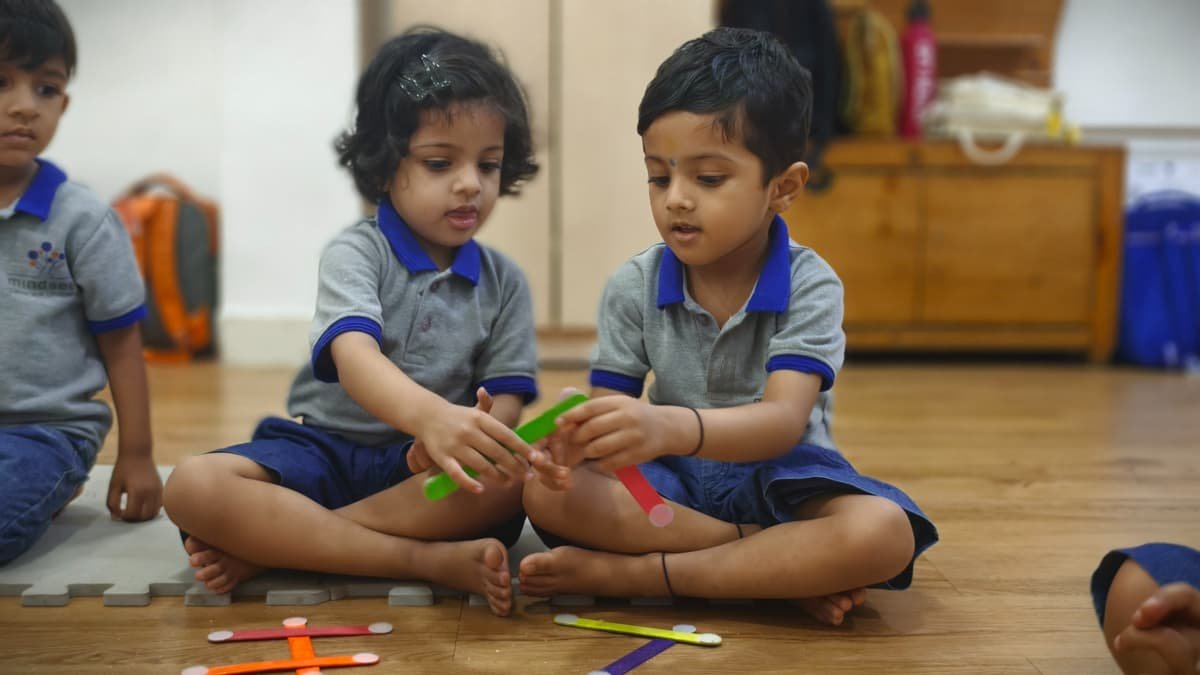Mindseed Preschool & Daycare