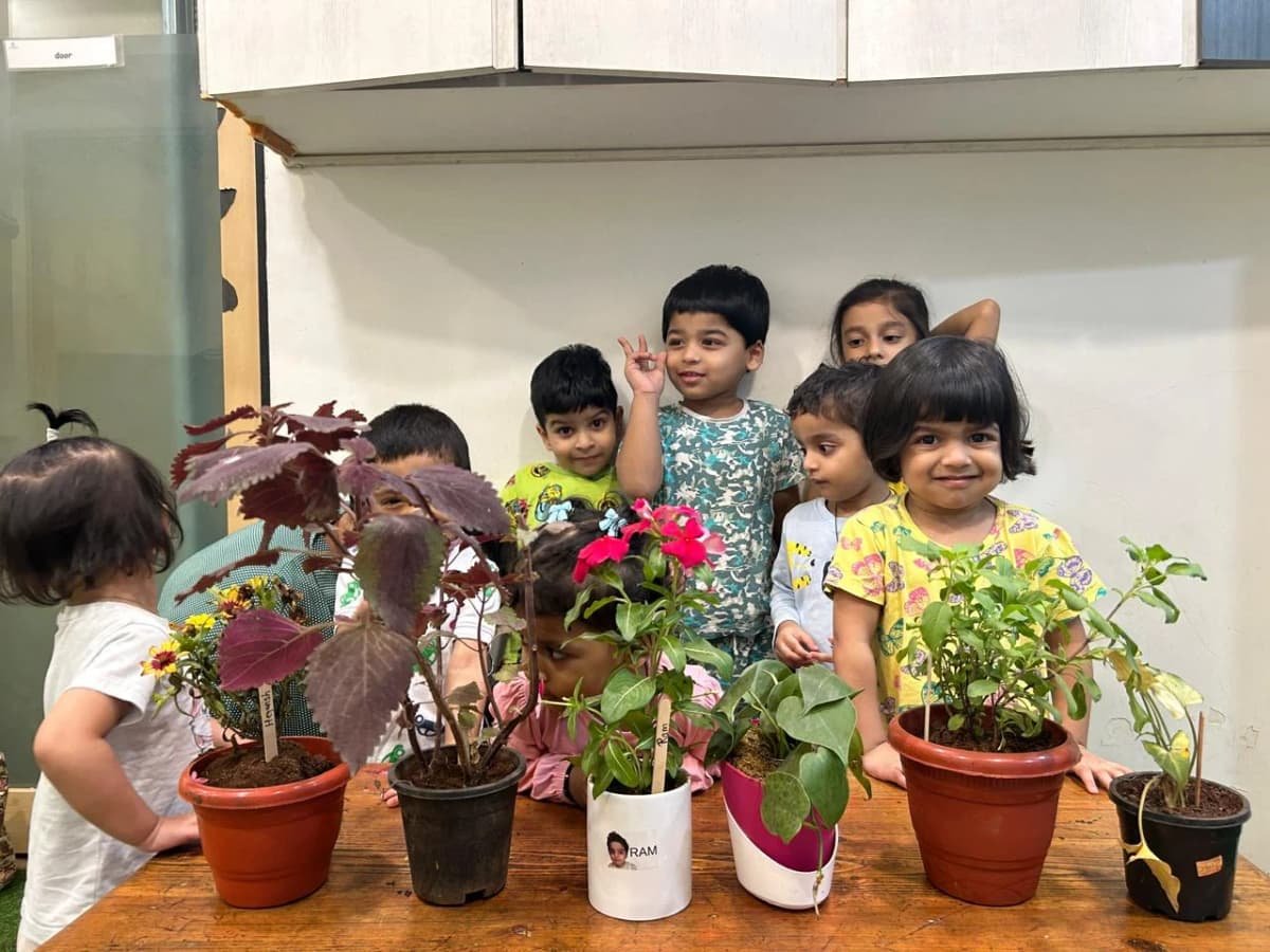 Mindseed Preschool & Daycare