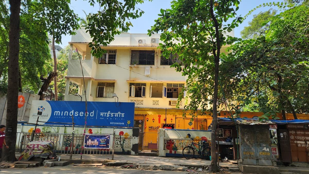 Mindseed Preschool & Daycare