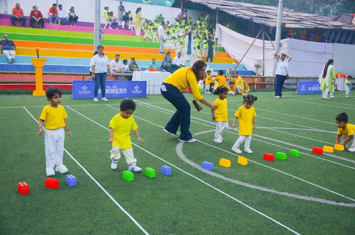 Mindseed Preschool & Daycare