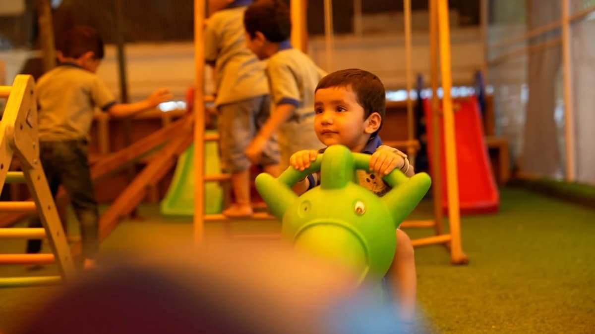 Mindseed Preschool & Daycare