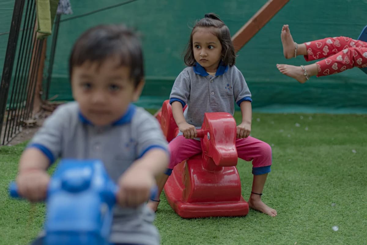 Mindseed Preschool & Daycare