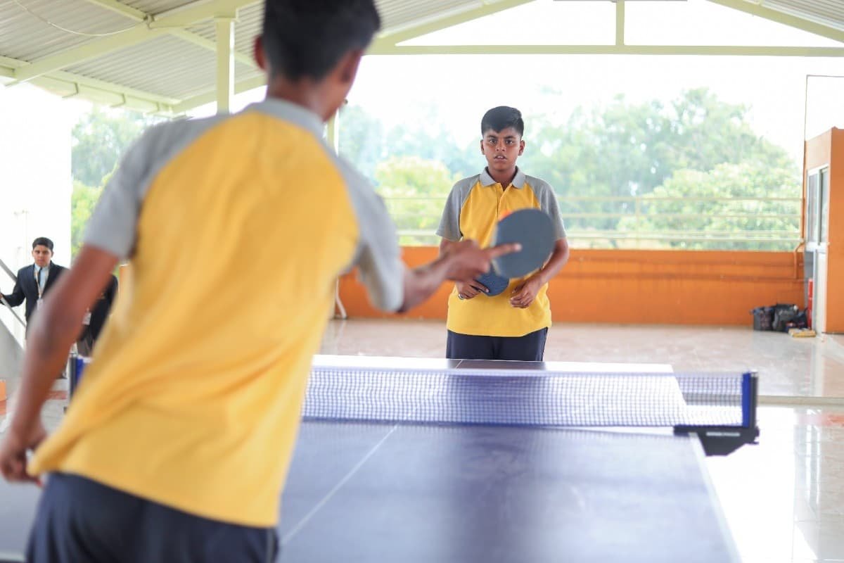 MVM School