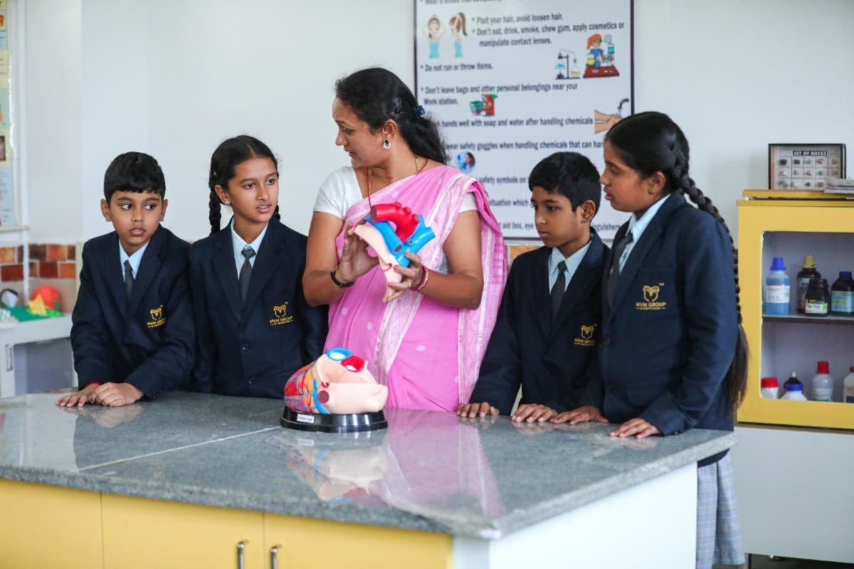 MVM School