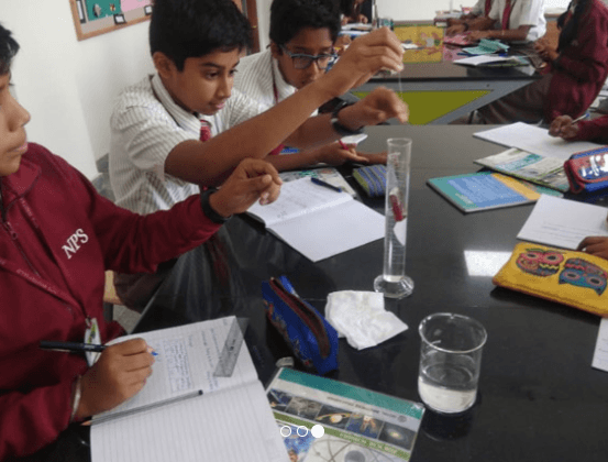 National Public School