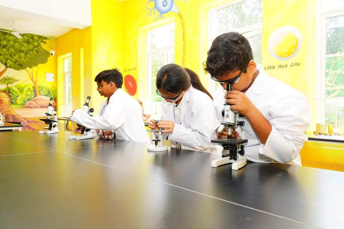 New Horizon International School