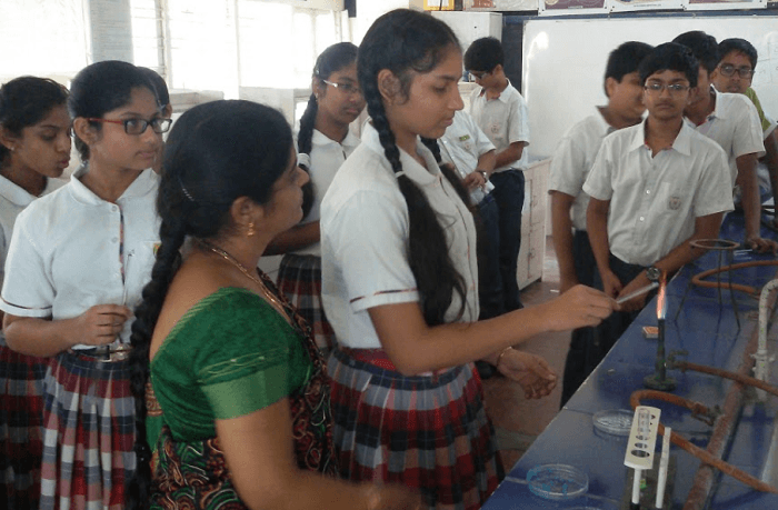 Niraj Public School
