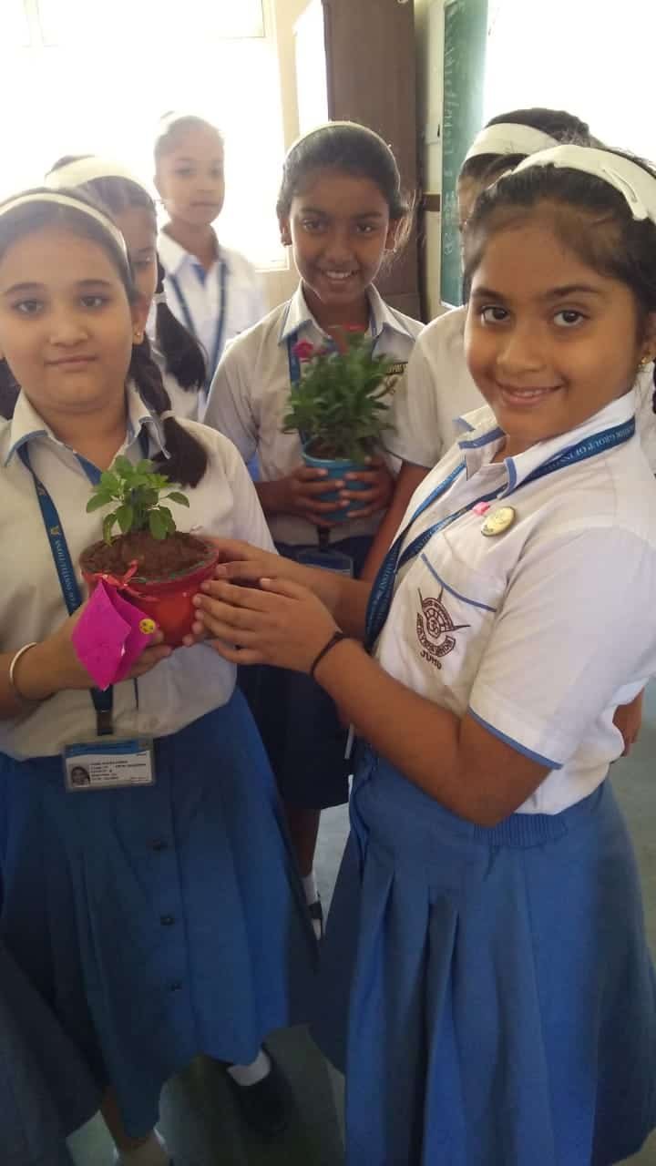 Prabhavati Padamshi Soni International Junior College