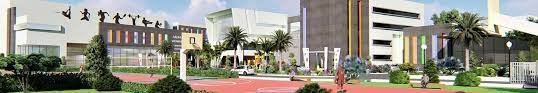 Sadhu Vaswani International School