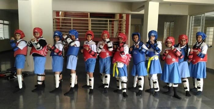 Sadhu Vaswani International School