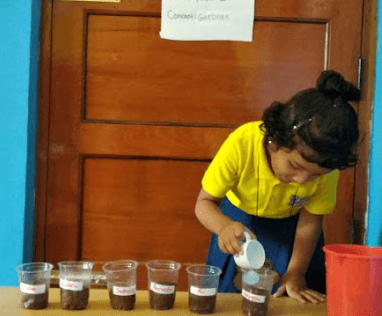 Sanmarg Central School