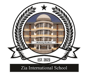 SFS Academy, Electronic City
