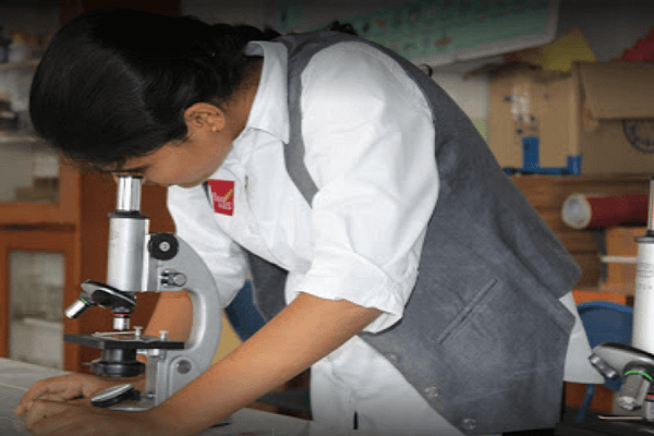Silver Oaks International School