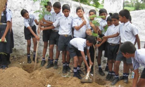 St.Mary's Central School