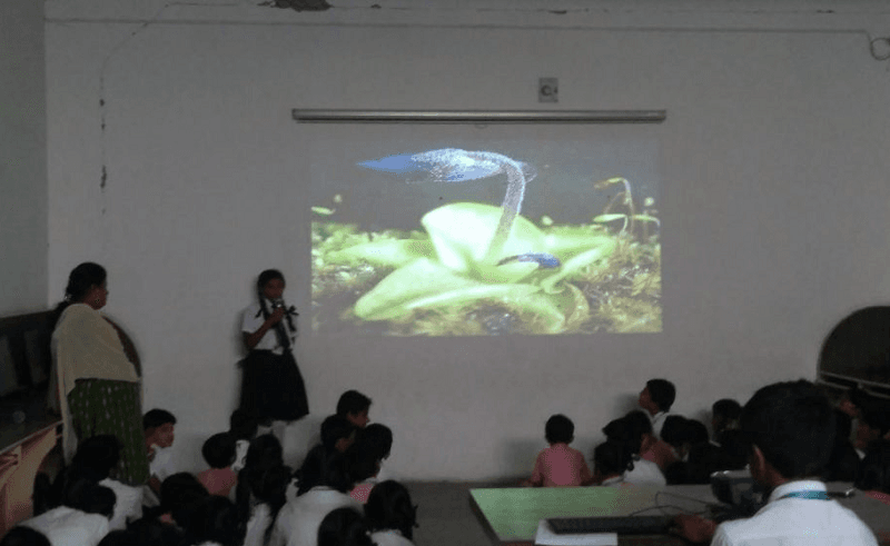 SVIS Sree Vidyanikethan International School