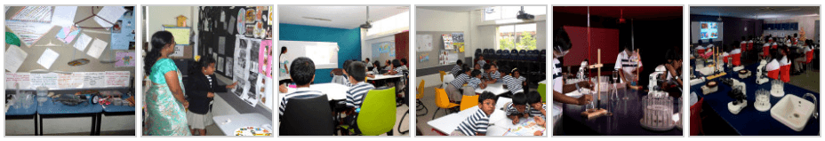 The Indian Public School(TIPS)-PBEL City Campus