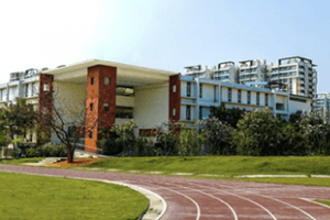 The Integral School