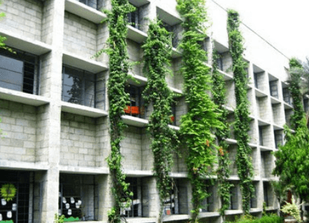 The Mother's International School