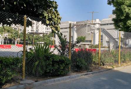 The Mother's International School