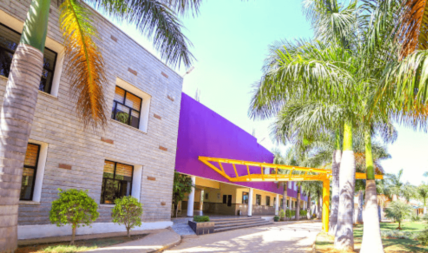 Vihaan Public School