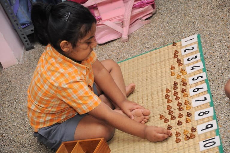Vruksha Montessori School